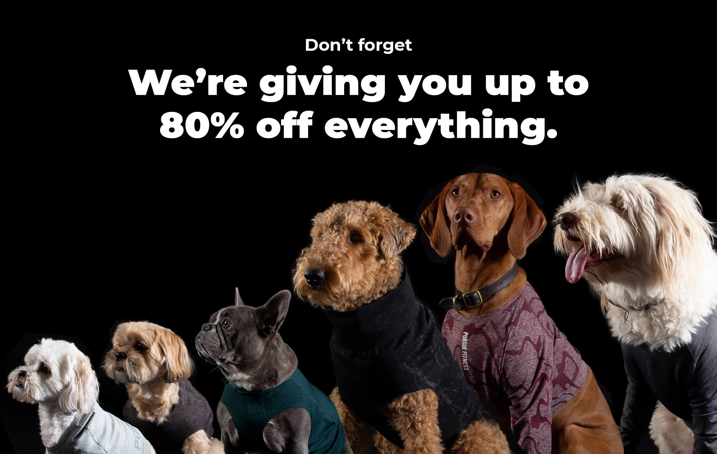 Black Friday - Dogs Image