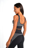 ADAPT Seamless Sports Bra / Black-Sports Bras-Womens